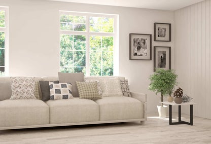 Sofa next to a window in a modern living in a home typical of Montclair, Lexington real estate